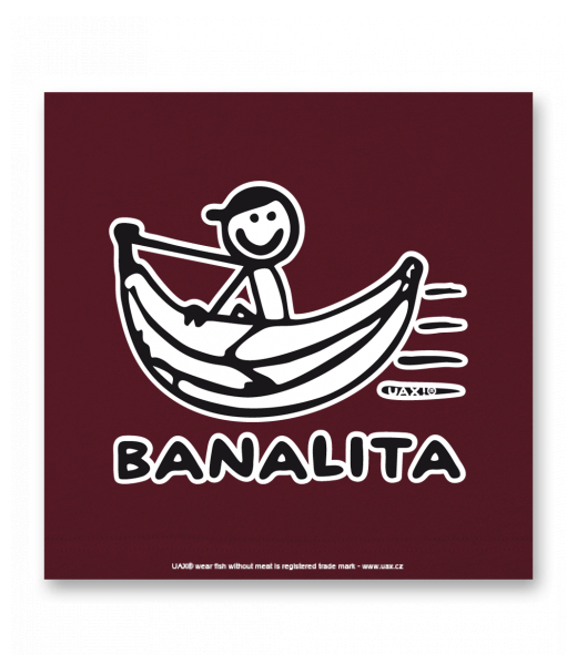 OBRAZ DO INTERIÉRU 110x110cm