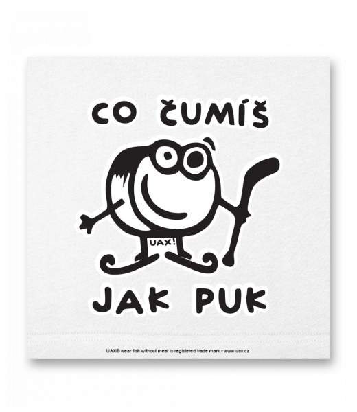 OBRAZ DO INTERIÉRU 110x110cm