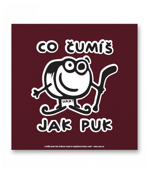 OBRAZ DO INTERIÉRU 110x110cm