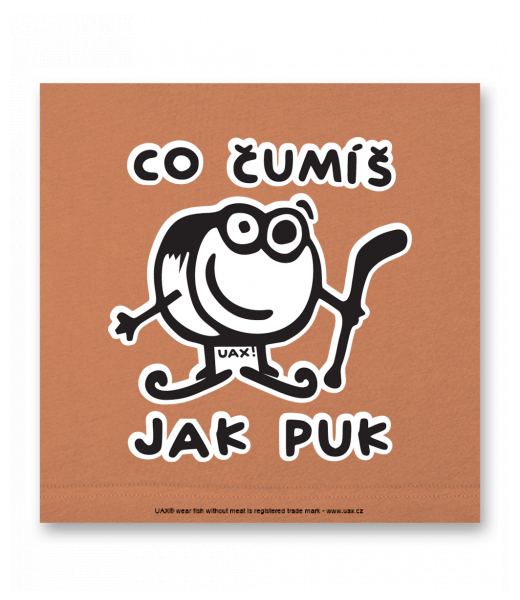 OBRAZ DO INTERIÉRU 110x110cm