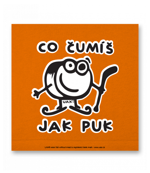 OBRAZ DO INTERIÉRU 110x110cm