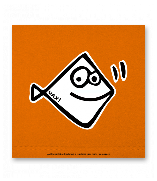 OBRAZ DO INTERIÉRU 110x110cm