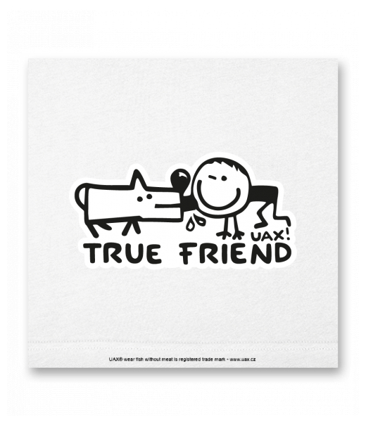 OBRAZ DO INTERIÉRU 110x110cm