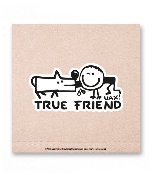 OBRAZ DO INTERIÉRU 110x110cm