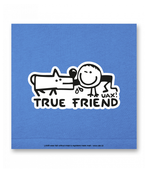 OBRAZ DO INTERIÉRU 110x110cm