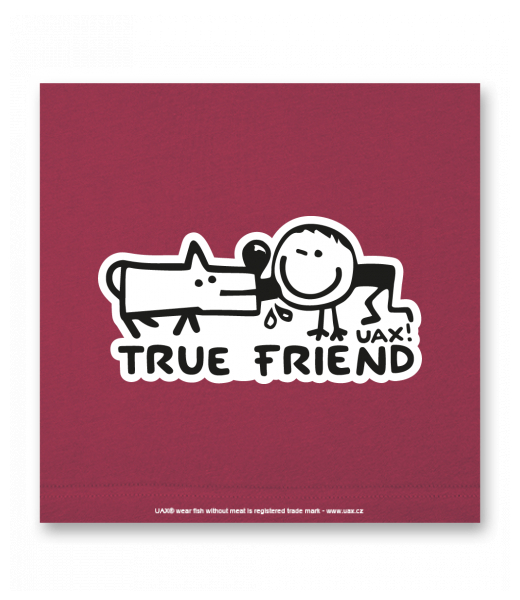 OBRAZ DO INTERIÉRU 110x110cm