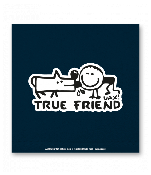 OBRAZ DO INTERIÉRU 110x110cm