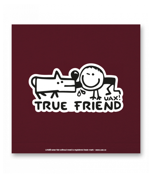 OBRAZ DO INTERIÉRU 110x110cm