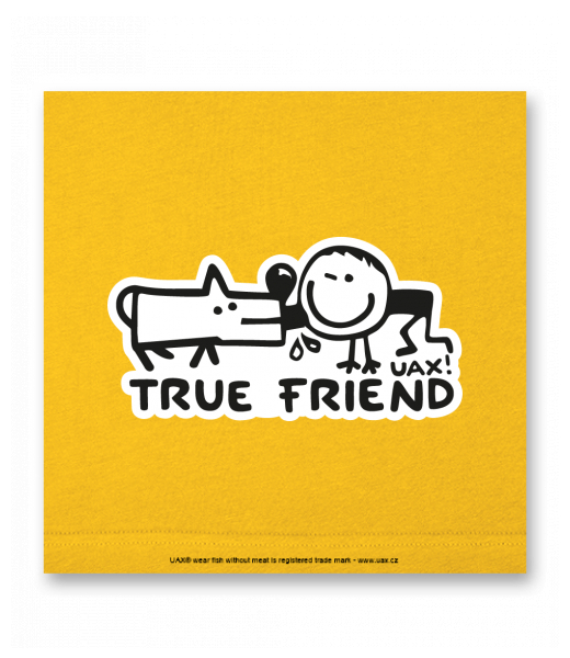 OBRAZ DO INTERIÉRU 110x110cm