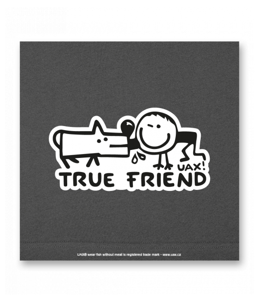 OBRAZ DO INTERIÉRU 110x110cm