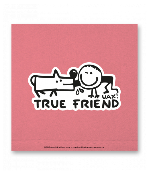 OBRAZ DO INTERIÉRU 110x110cm