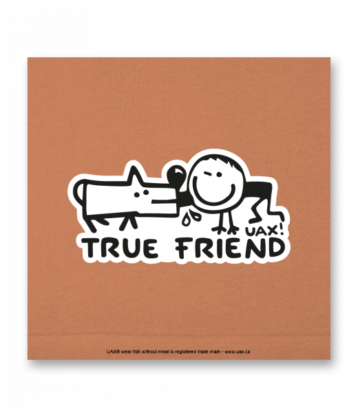 OBRAZ DO INTERIÉRU 110x110cm