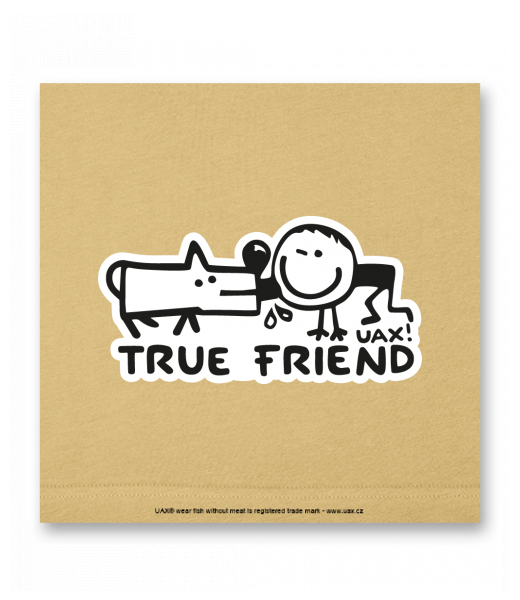 OBRAZ DO INTERIÉRU 110x110cm