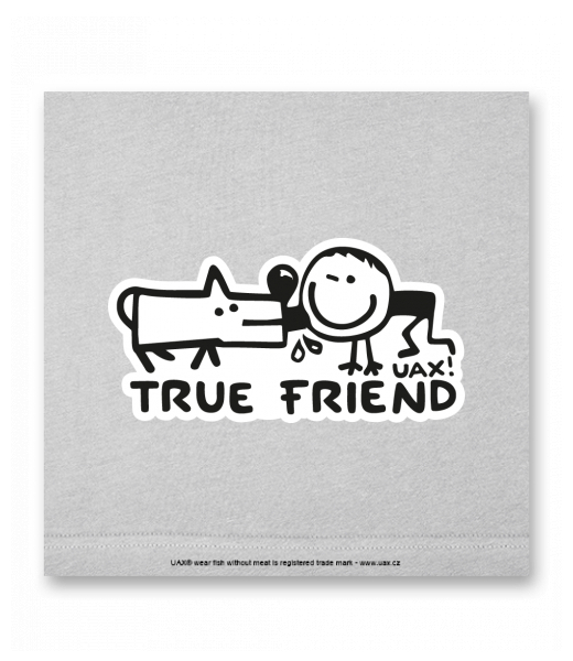 OBRAZ DO INTERIÉRU 110x110cm