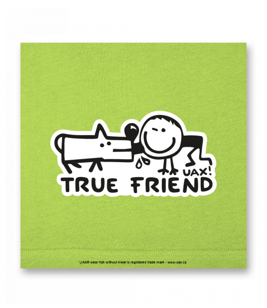 OBRAZ DO INTERIÉRU 110x110cm