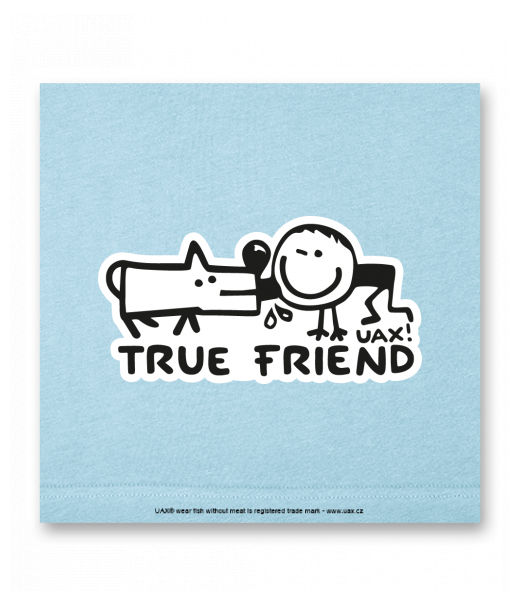 OBRAZ DO INTERIÉRU 110x110cm