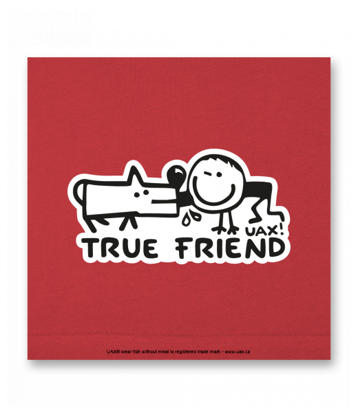 OBRAZ DO INTERIÉRU 110x110cm