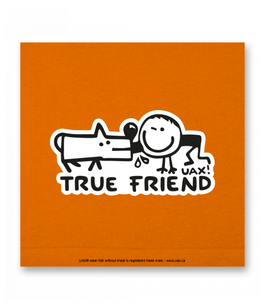 OBRAZ DO INTERIÉRU 110x110cm