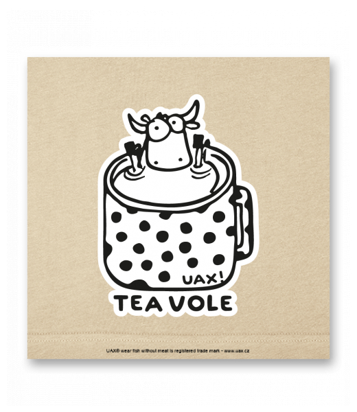 OBRAZ DO INTERIÉRU 110x110cm