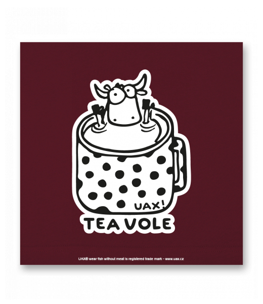 OBRAZ DO INTERIÉRU 110x110cm