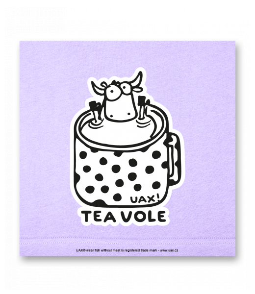 OBRAZ DO INTERIÉRU 110x110cm