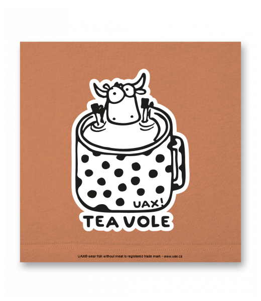 OBRAZ DO INTERIÉRU 110x110cm