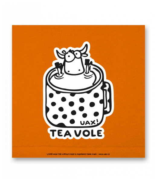 OBRAZ DO INTERIÉRU 110x110cm