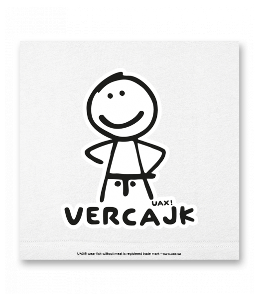 OBRAZ DO INTERIÉRU 110x110cm