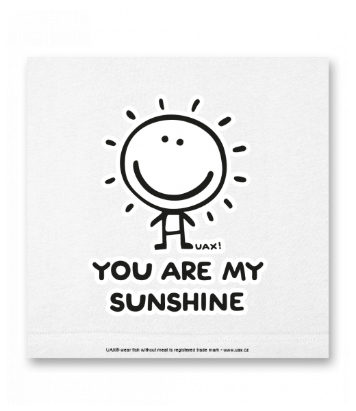 OBRAZ DO INTERIÉRU 110x110cm