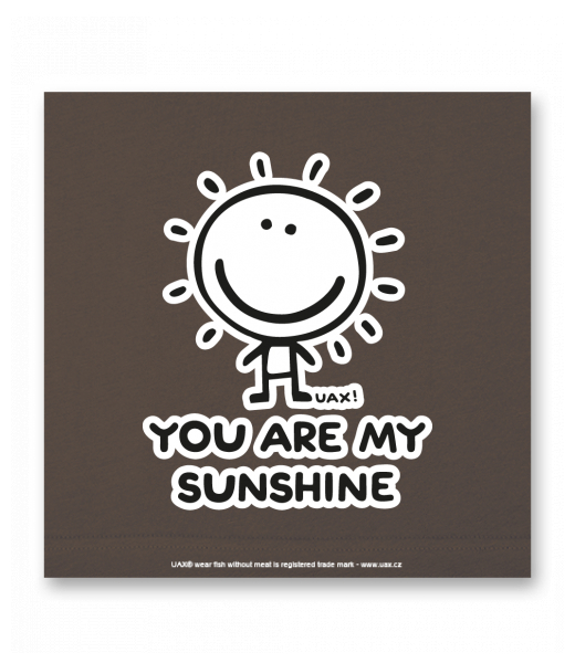 OBRAZ DO INTERIÉRU 110x110cm