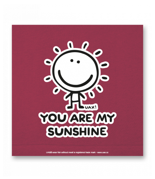 OBRAZ DO INTERIÉRU 110x110cm