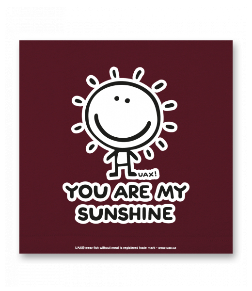 OBRAZ DO INTERIÉRU 110x110cm