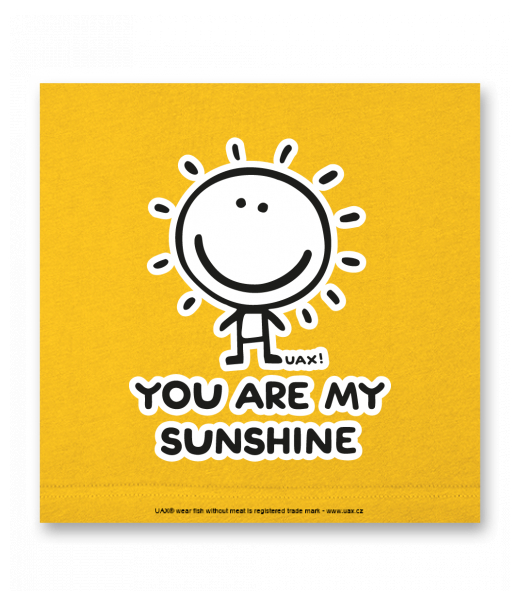 OBRAZ DO INTERIÉRU 110x110cm