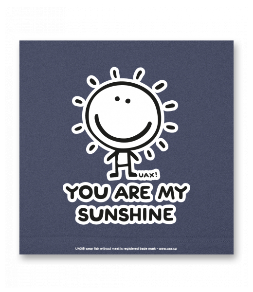 OBRAZ DO INTERIÉRU 110x110cm