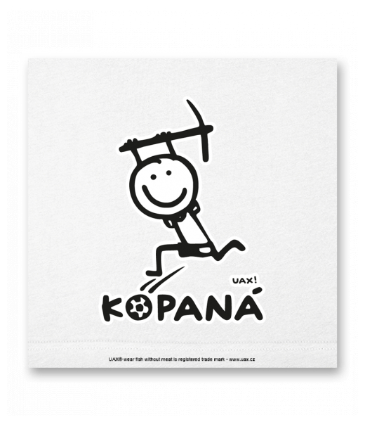 OBRAZ DO INTERIÉRU 110x110cm