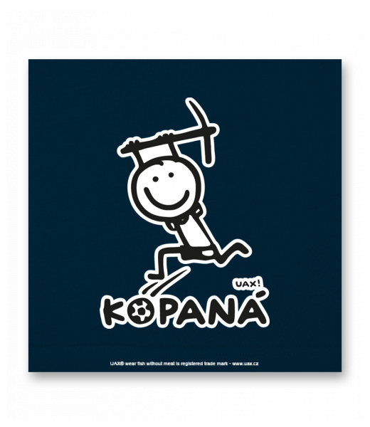 OBRAZ DO INTERIÉRU 110x110cm