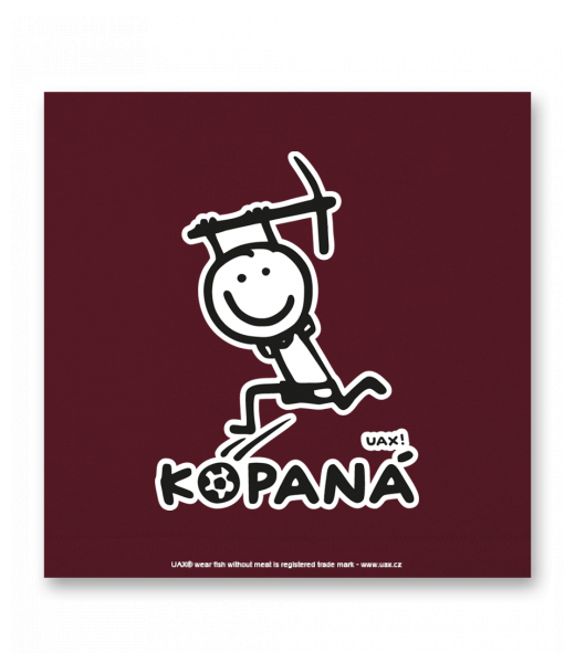 OBRAZ DO INTERIÉRU 110x110cm