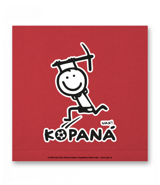 OBRAZ DO INTERIÉRU 110x110cm