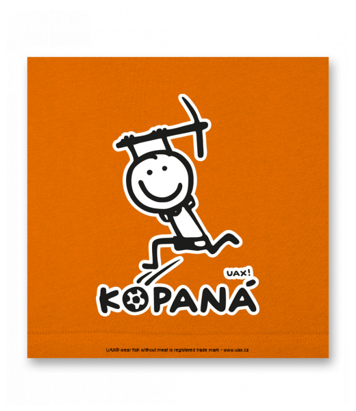 OBRAZ DO INTERIÉRU 110x110cm