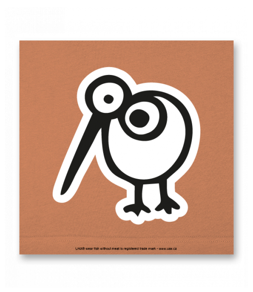 OBRAZ DO INTERIÉRU 110x110cm