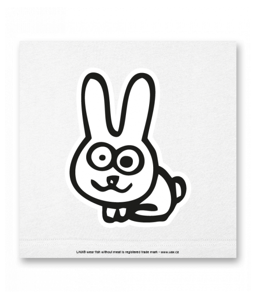 OBRAZ DO INTERIÉRU 110x110cm