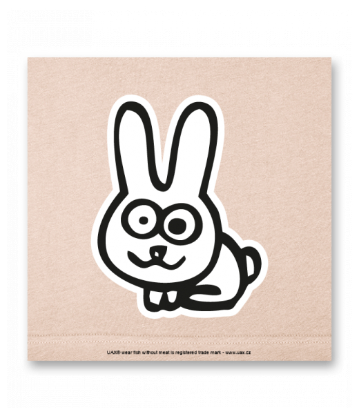 OBRAZ DO INTERIÉRU 110x110cm