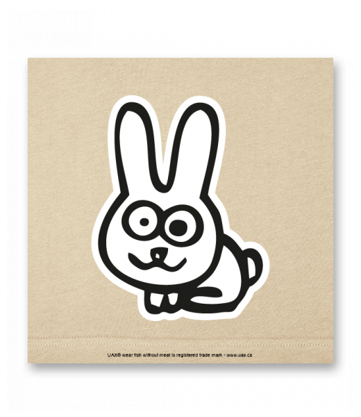 OBRAZ DO INTERIÉRU 110x110cm