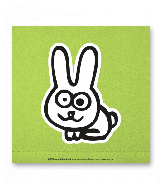 OBRAZ DO INTERIÉRU 110x110cm