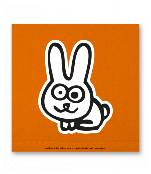 OBRAZ DO INTERIÉRU 110x110cm