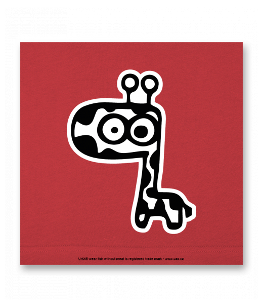 OBRAZ DO INTERIÉRU 110x110cm