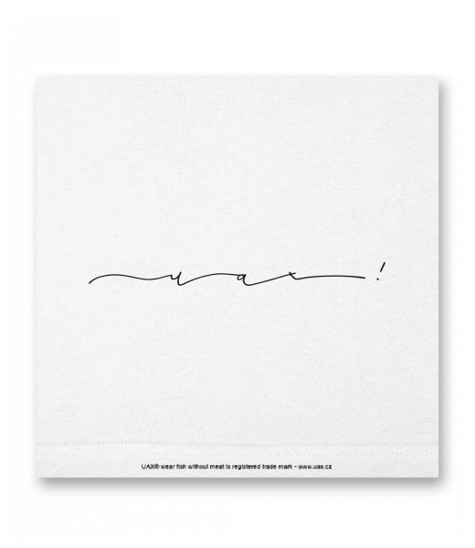 OBRAZ DO INTERIÉRU 110x110cm