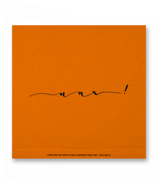 OBRAZ DO INTERIÉRU 110x110cm