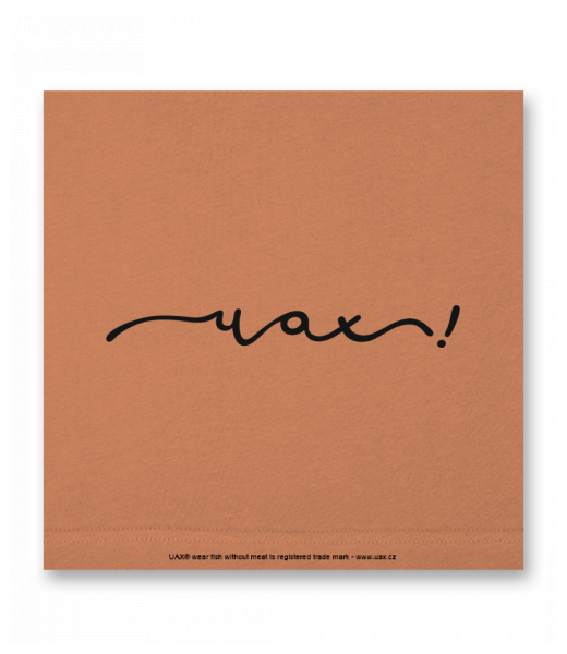 OBRAZ DO INTERIÉRU 110x110cm