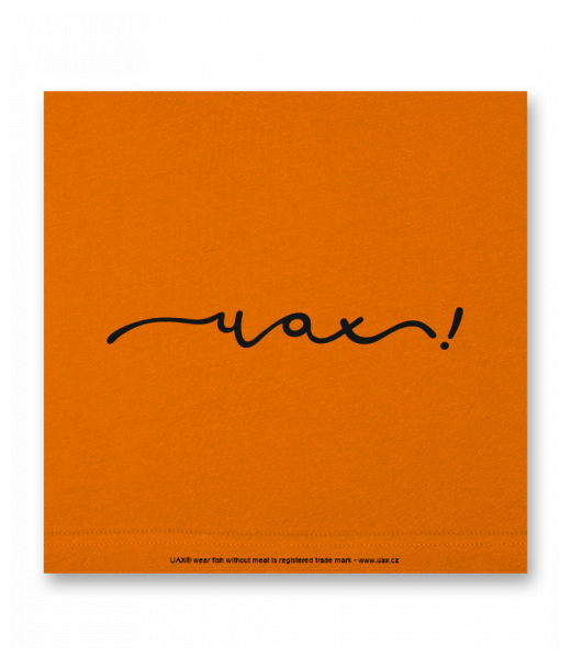 OBRAZ DO INTERIÉRU 110x110cm